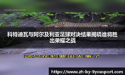 科特迪瓦与阿尔及利亚足球对决结果揭晓谁将胜出荣耀之战