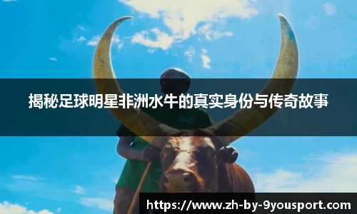揭秘足球明星非洲水牛的真实身份与传奇故事